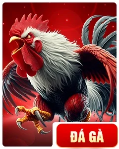 Đá gà